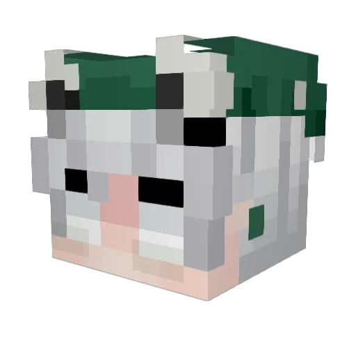 Neteyann Minecraft avatar head, 3D render