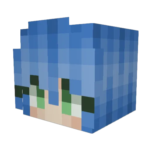 Netfitz Minecraft avatar head, 3D render