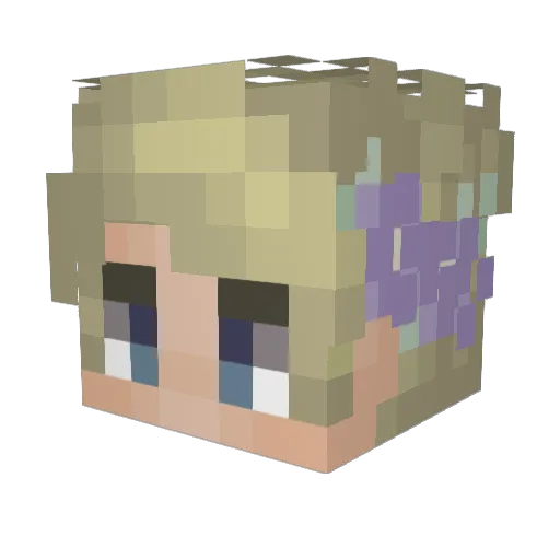 Netflikx Minecraft avatar head, 3D render