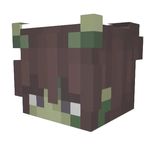 NetflixHD Minecraft avatar head, 3D render
