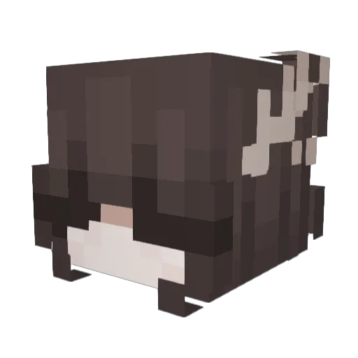 Netflix_serie Minecraft avatar head, 3D render