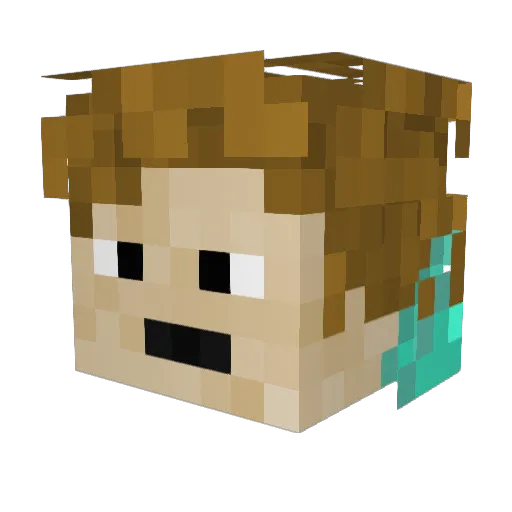 Nether309 Minecraft avatar head, 3D render