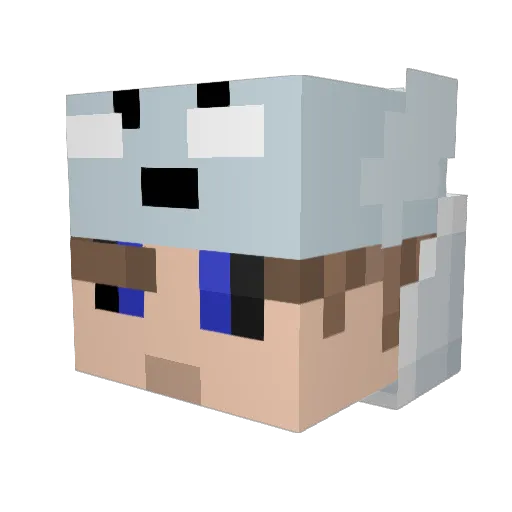 NetherDestroyer3 Minecraft avatar head, 3D render