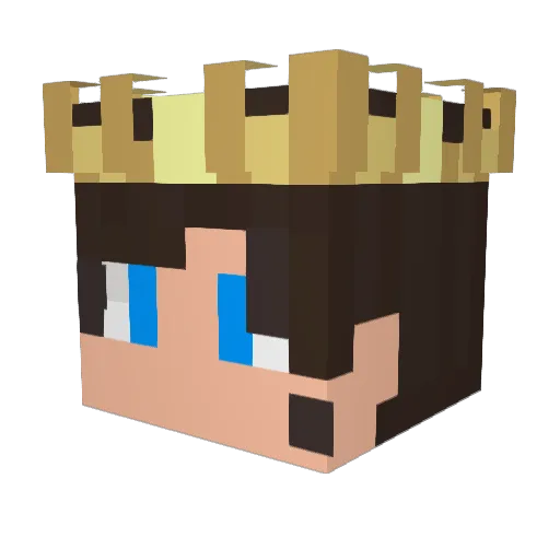 NetherKnight0102 Minecraft avatar head, 3D render