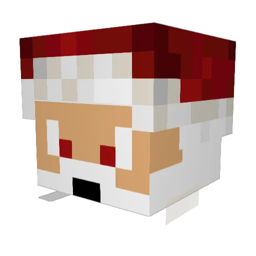 NetherMore Minecraft avatar head, 3D render