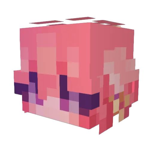 NetherPoptart Minecraft avatar head, 3D render