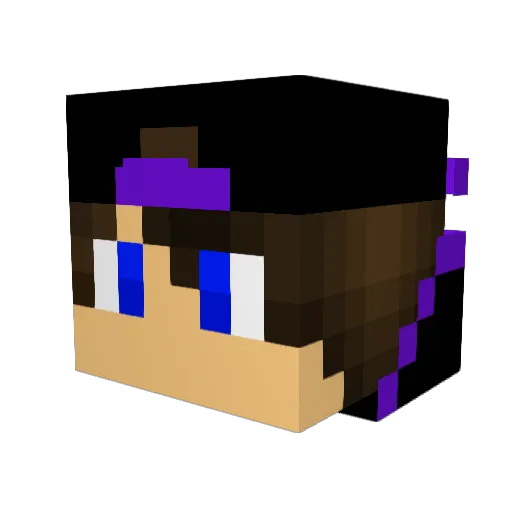 NetherWise Minecraft avatar head, 3D render