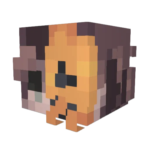 Nether_Ruler Minecraft avatar head, 3D render