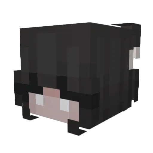 Netherchap Minecraft avatar head, 3D render