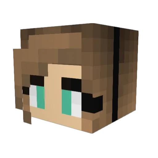 Netherite0_0 Minecraft avatar head, 3D render