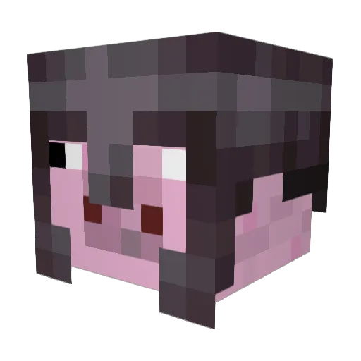 NetheritePig96 Minecraft avatar head, 3D render