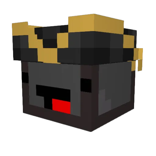 NetheriteSkeppy Minecraft avatar head, 3D render