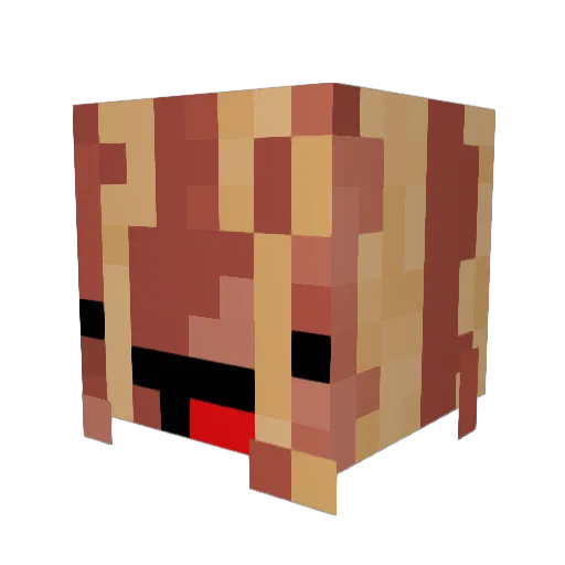Netherite_Bacon Minecraft avatar head, 3D render