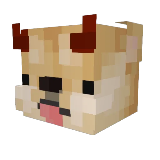 Netheritepro656 Minecraft avatar head, 3D render