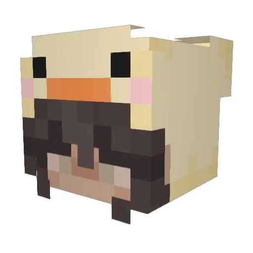 Netherslayer147 Minecraft avatar head, 3D render