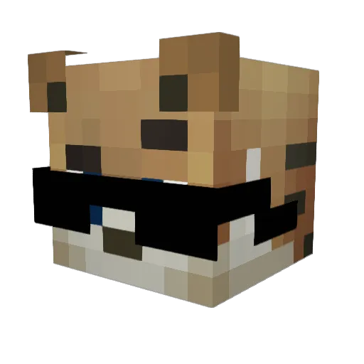 Neto_Games Minecraft avatar head, 3D render