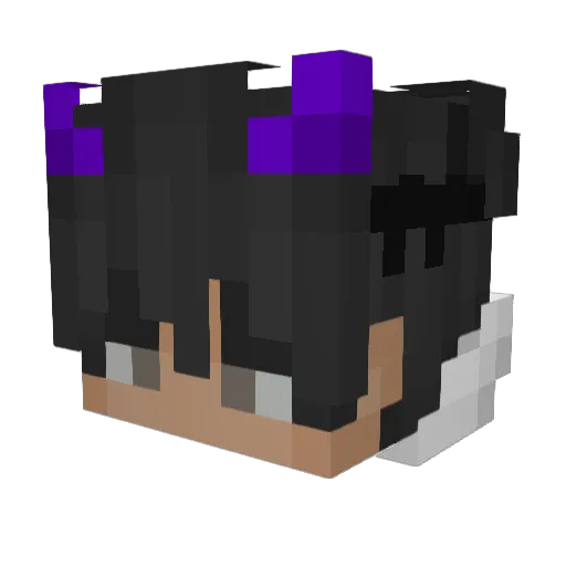 Netolice Minecraft avatar head, 3D render