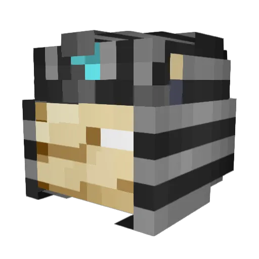 Netoxus Minecraft avatar head, 3D render