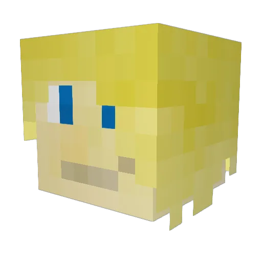 NetroAki Minecraft avatar head, 3D render