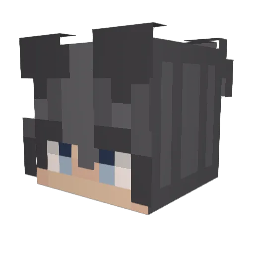 NetroAstra Minecraft avatar head, 3D render