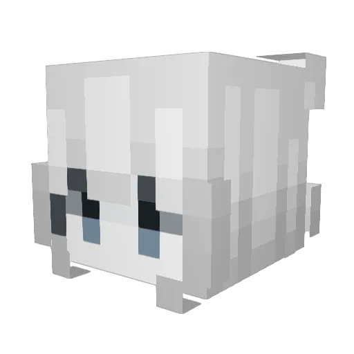 Netss420 Minecraft avatar head, 3D render