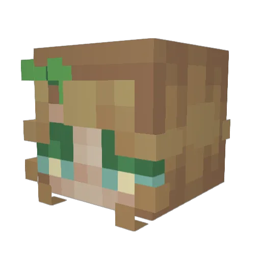 Nett3472 Minecraft avatar head, 3D render