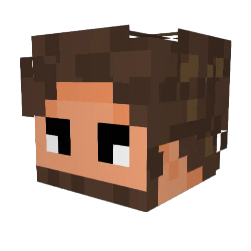 NettHierOder Minecraft avatar head, 3D render