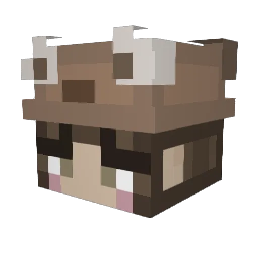 NetteNuss Minecraft avatar head, 3D render