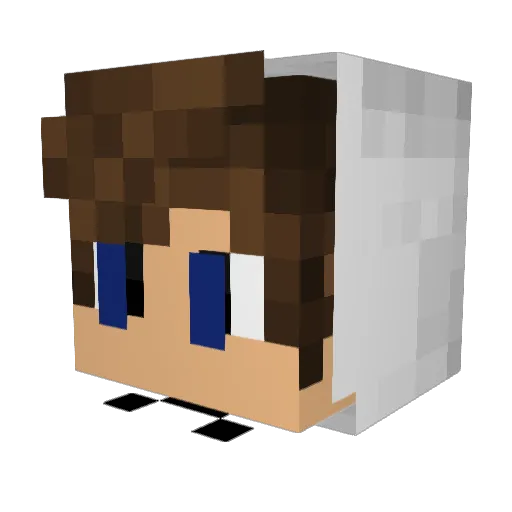 NetterMensch Minecraft avatar head, 3D render