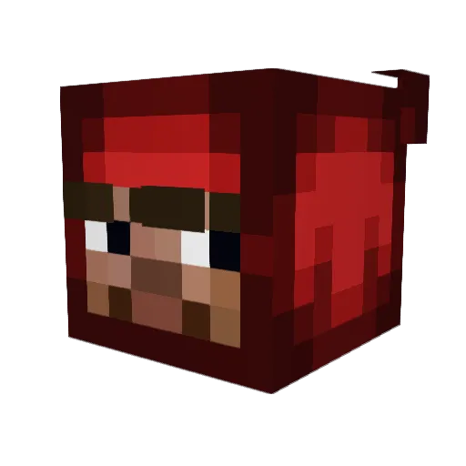 Nettrongus Minecraft avatar head, 3D render