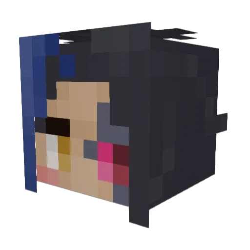 NettspendNugget3 Minecraft avatar head, 3D render