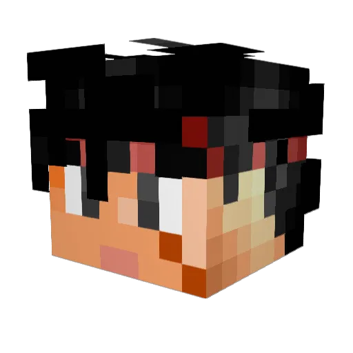 Nettstar1 Minecraft avatar head, 3D render
