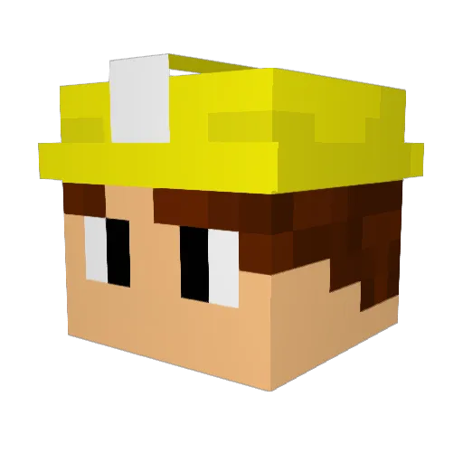 Netty0815 Minecraft avatar head, 3D render