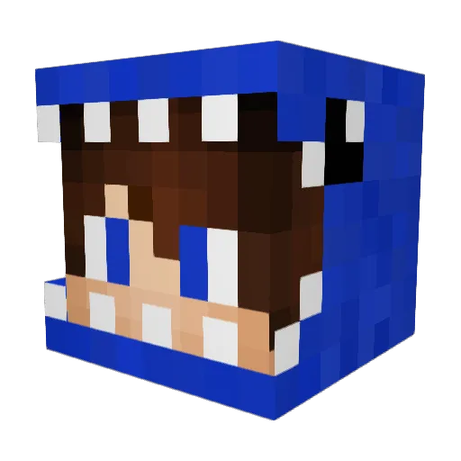 Netunaay Minecraft avatar head, 3D render