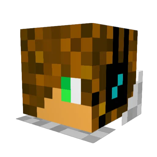 NetworkBot Minecraft avatar head, 3D render