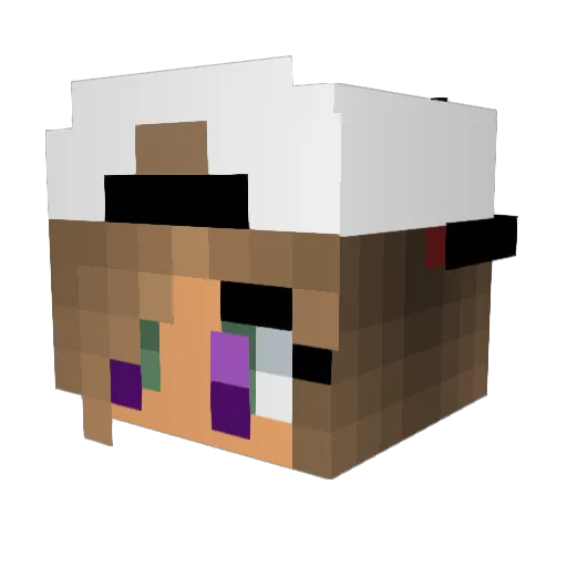 NetworkJanitor Minecraft avatar head, 3D render