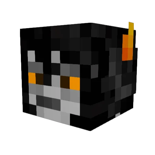 NetworkRaven Minecraft avatar head, 3D render