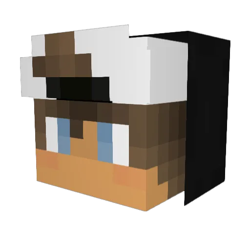 NetworkStop Minecraft avatar head, 3D render