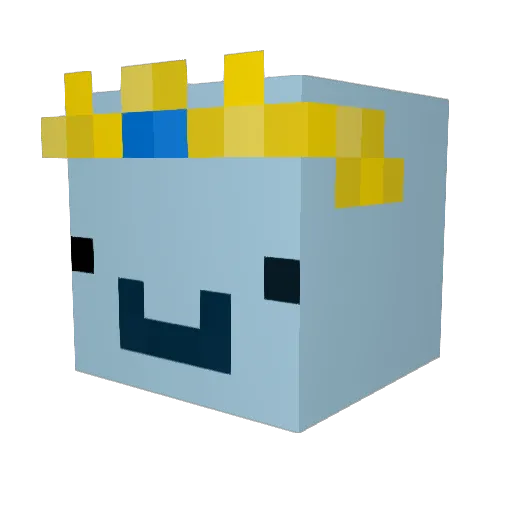 Network_1 Minecraft avatar head, 3D render