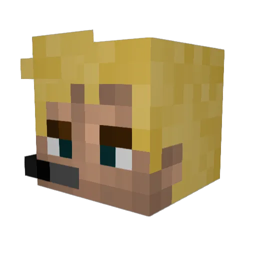Network_Admin Minecraft avatar head, 3D render
