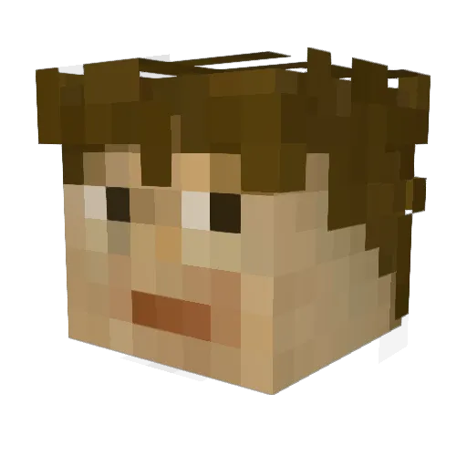 Minecraft-Avatar von NeunEinser: Kopf als 3D-Render