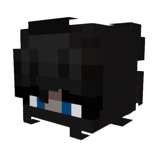 Neura1 Minecraft avatar head, 3D render