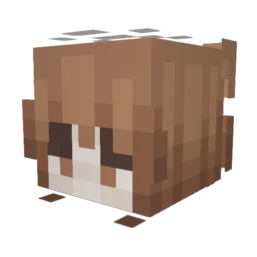 NeutralDitto Minecraft avatar head, 3D render