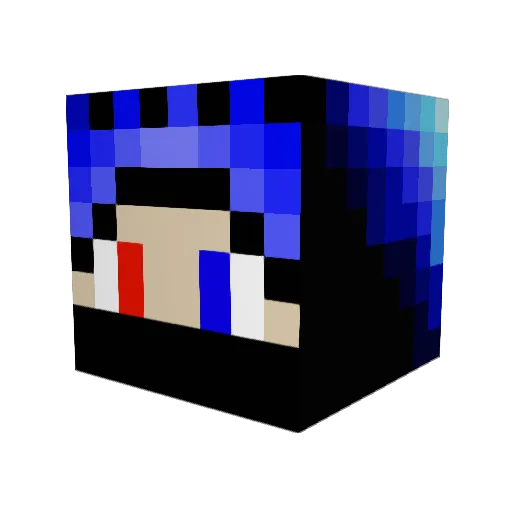 NeutronGaming_de Minecraft avatar head, 3D render