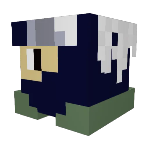 Nev1c Minecraft avatar head, 3D render