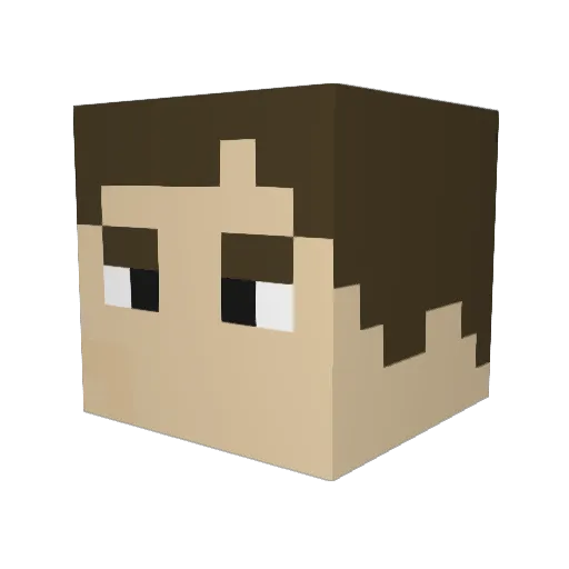 Nevada_kid Minecraft avatar head, 3D render
