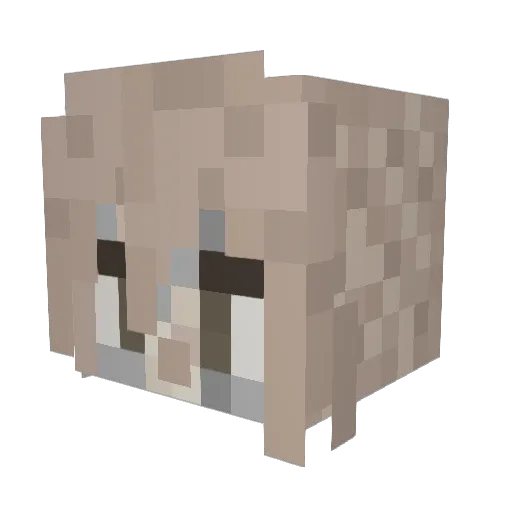 Nevarion_ Minecraft avatar head, 3D render