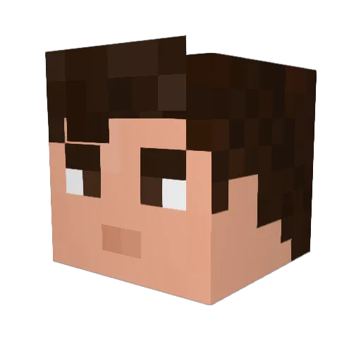 Nevcairiel Minecraft avatar head, 3D render