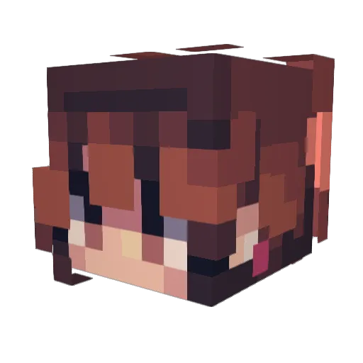Neveisme1 Minecraft avatar head, 3D render