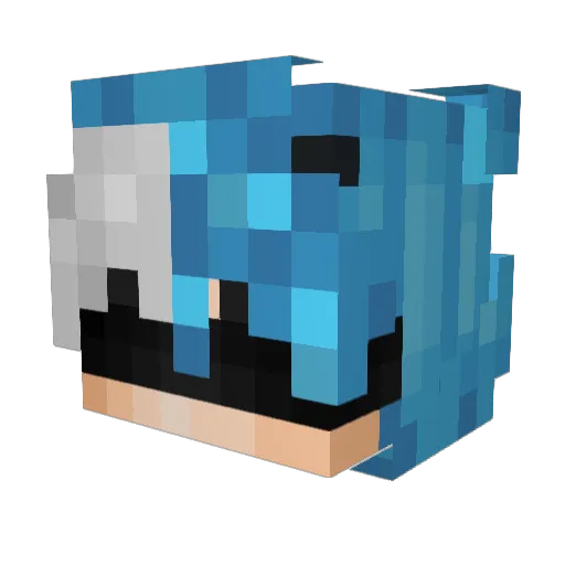 Never1232 Minecraft avatar head, 3D render